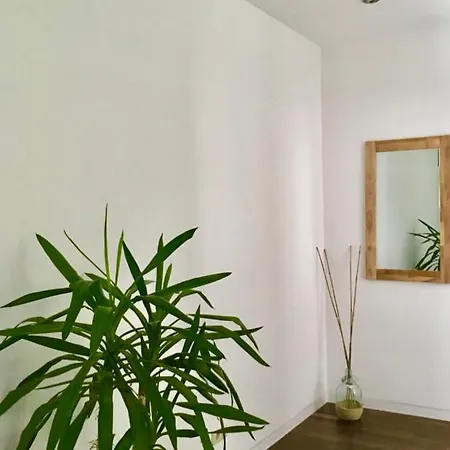 Apartment Maisonette Suedstadtvilla *