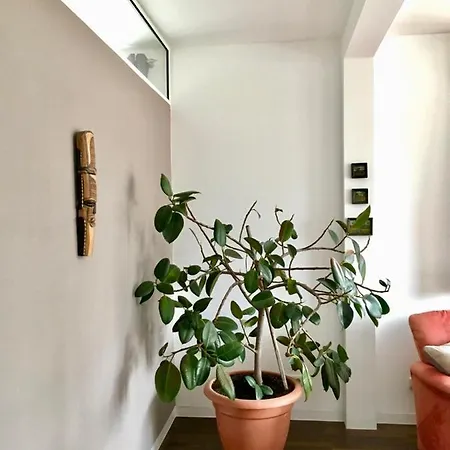 Maisonette Suedstadtvilla شقة